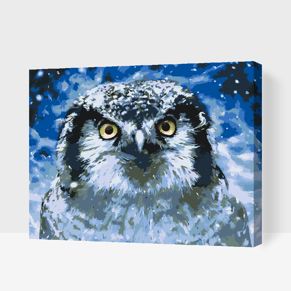 Malování podle čísel - Owl